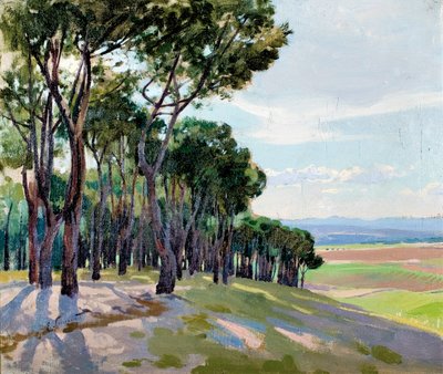 Landscape of La Moncloa by Enrique Simonet